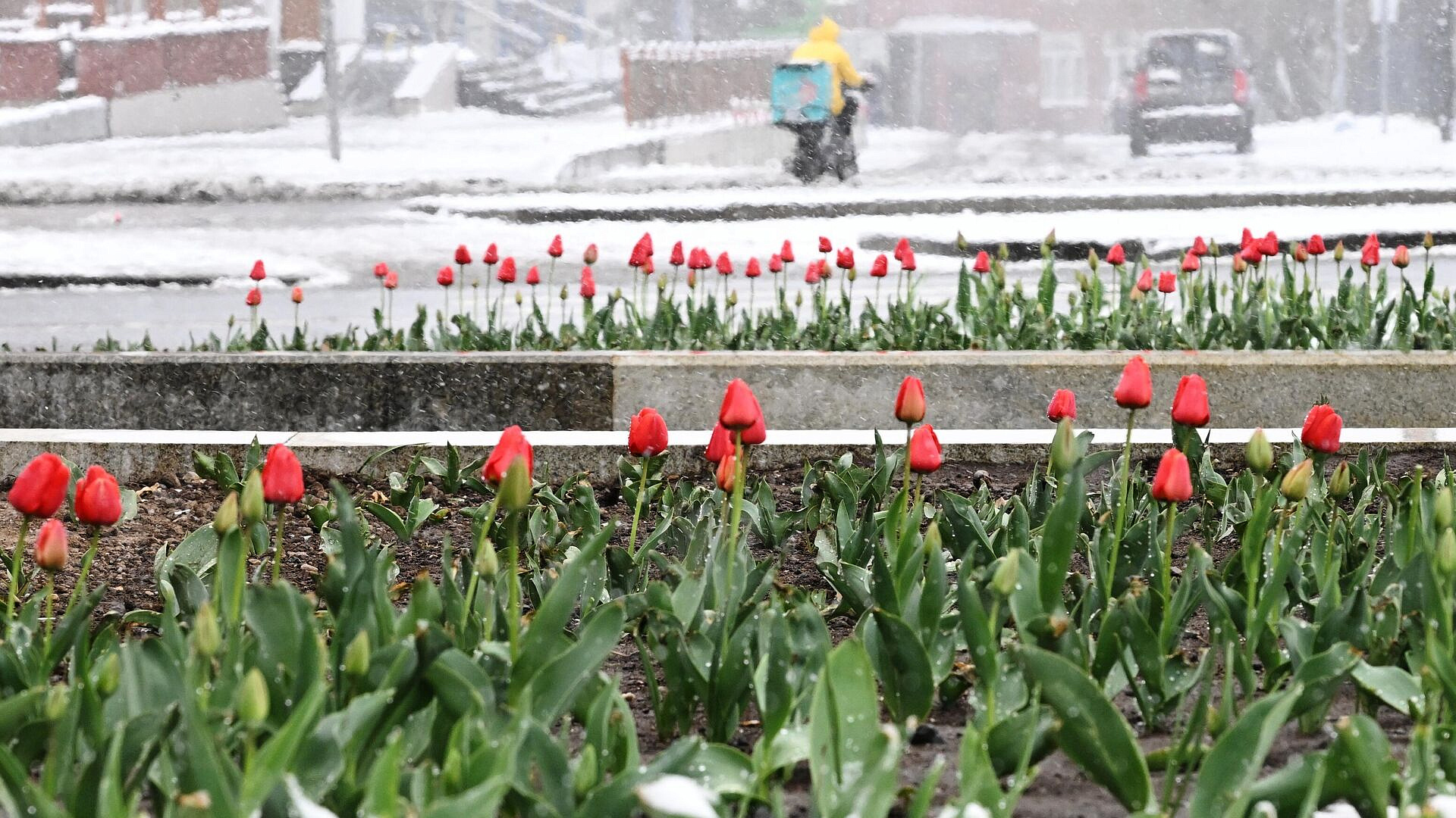 Синоптик рассказал, когда в Центральной России наступит весна