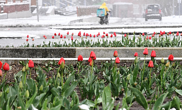 Синоптик рассказал, когда в Центральной России наступит весна