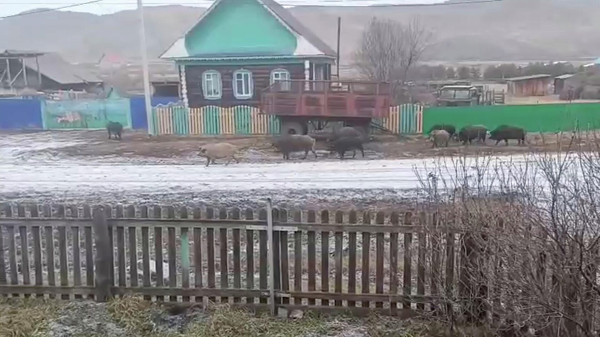 � ���� ������� � ������ �������� ������, �������� �� ������� � ��������