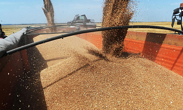 СМИ: ЕС готовится взимать пошлину на импорт зерна из России и Белоруссии