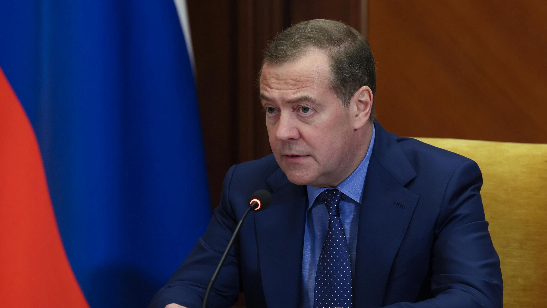 Грузия долго будет чувствовать урон от режима Саакашвили, заявил Медведев