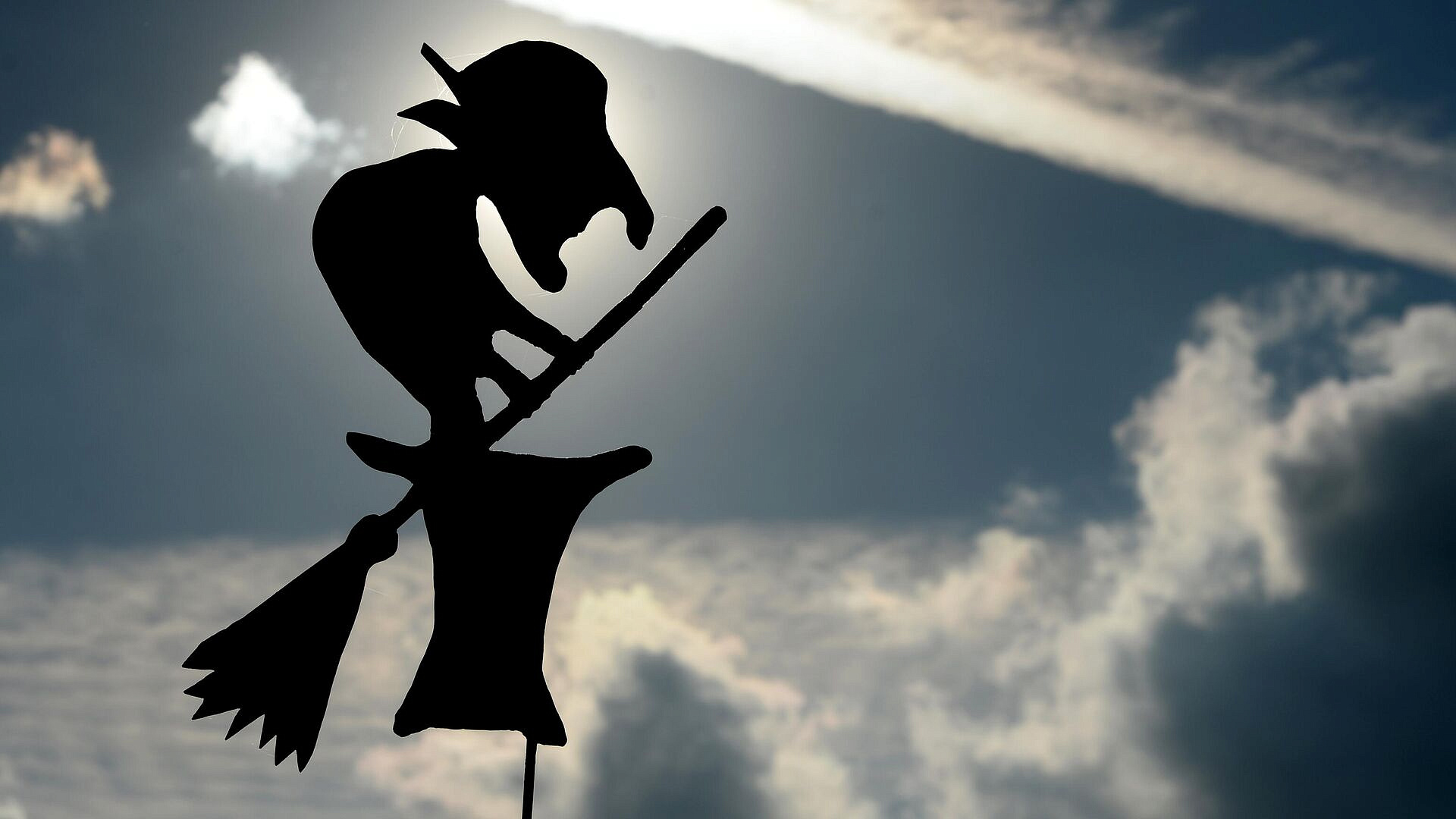 В "Сочи Парке" открыли вакансию и. о. Бабы Яги