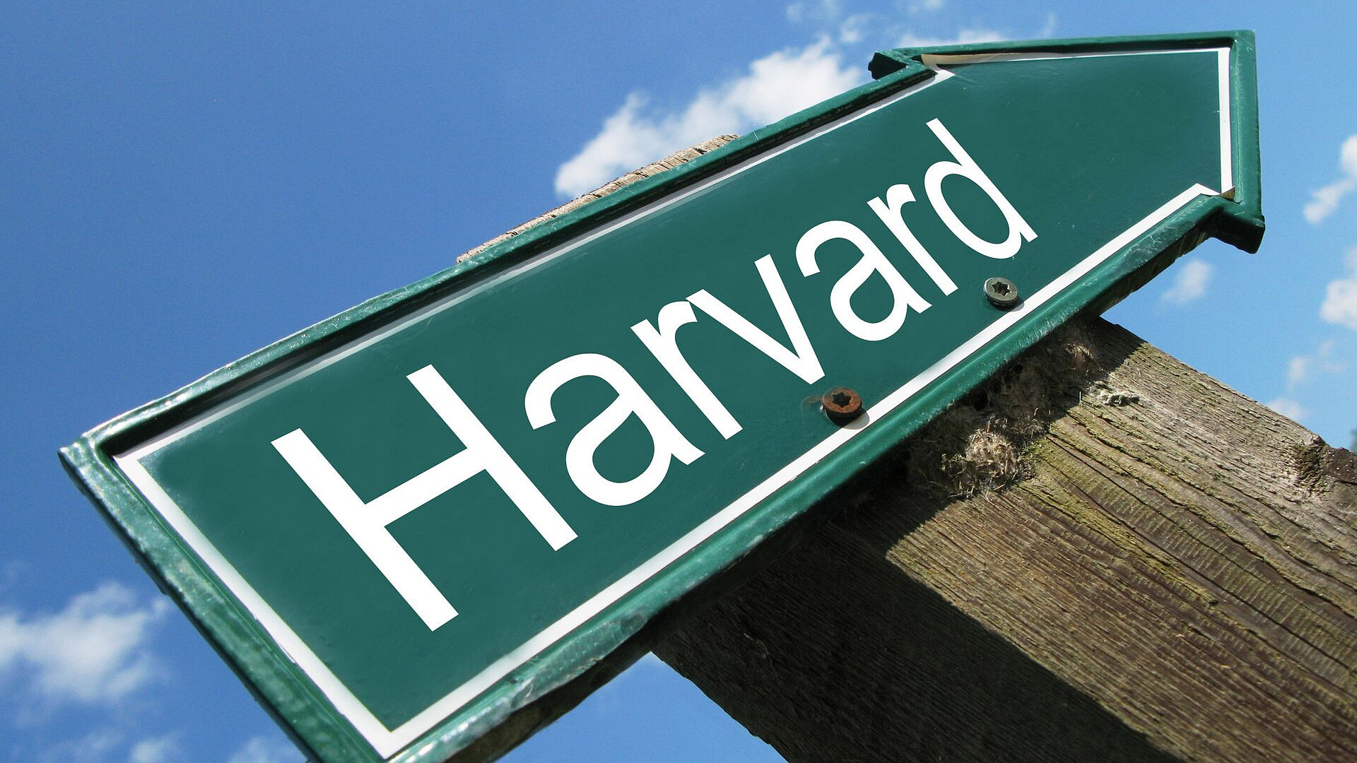 ���: � ��� �������� ��������� ������� ��� ���������� ��������������